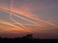 Thumbnail for version as of 06:42, 14 August 2026