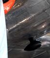 Thumbnail for version as of 19:41, 12 August 2026
