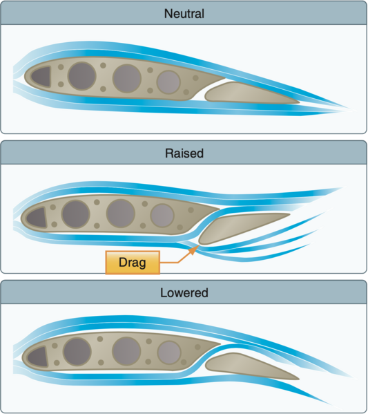 File:Frise-type ailerons.png